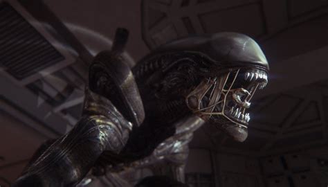¿veremos Un Nuevo Xenomorfo En Alien Covenant