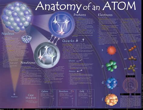 Anatomy Of An Atom Flinn Scientific