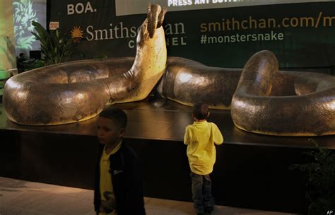 Maybe you would like to learn more about one of these? Replika Titanoboa Ular Terbesar Di Dunia ~ Indoking