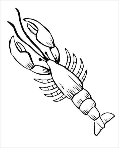 Coloring Page Of A Lobster ColoringBay