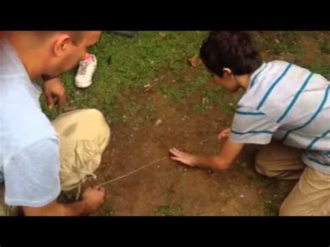 Juegos tradicionales de la comunidad afro de puerto tejada. Pelea de Gallitos..Puerto Rico Style - YouTube