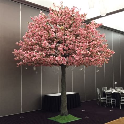 さくら or サクラ).they generally refer to ornamental cherry trees, not to be confused with cherry trees that produce fruit for eating. 5m Pink Cherry Blossom Trees - Harbourside Decorators