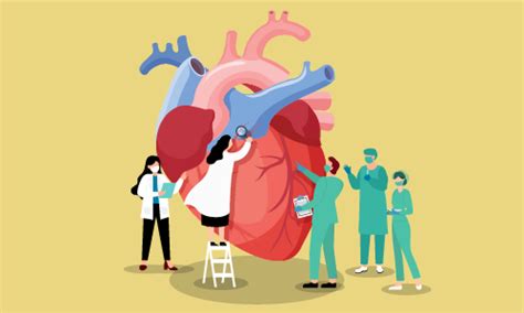 Basic Cardiac Heart Care Course One Education