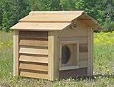 Images of Heated Outdoor Cat House