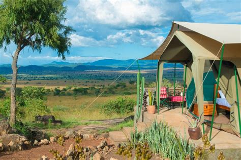 About Nature Lodges Your Home In Uganda