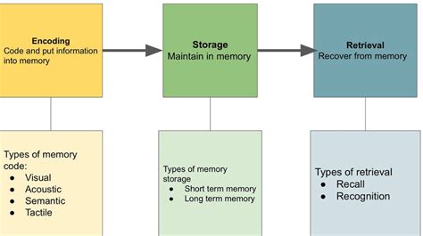 Science Of Memory Part 2 How It Works