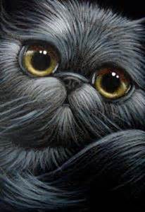 black chinchilla persian cat   cyra  cancel   art galleries search results