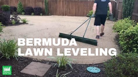 A guide to bermudagrass including bermuda seed, sod, grass care, weed control, types, hybrids, planting, applications and review. Bermuda Lawn Leveling - YouTube