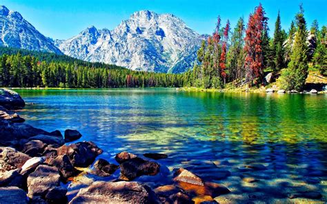 Free Download Beautiful Lake Mountain Forest Desktop Wallpapers