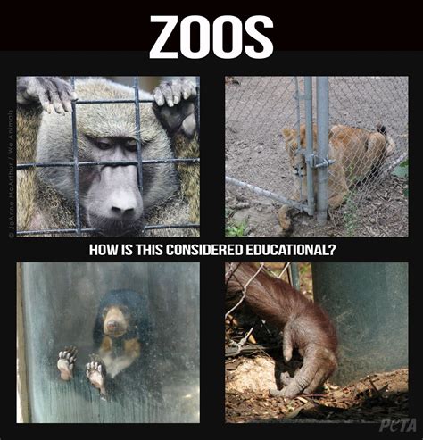 Your Next Facebook Share Zoos Are Usually Not Educational Peta Zoo