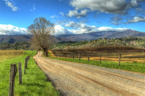 What To Expect When You Visit The Cades Cove Riding Stables