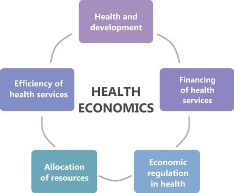 What Is Health Economist Career For Clinicians Navisurge
