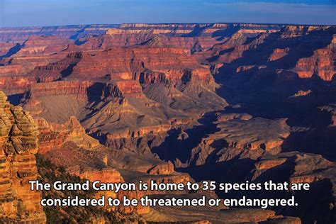 25 Grand Canyon Facts To Inspire A Road Trip To The Natural Wonder
