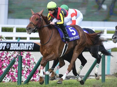 Discover (and save!) your own pins on pinterest. 大阪杯 歴代優勝馬・騎手一覧（過去G1結果） | 競馬まとめ ...