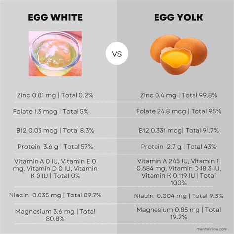 Details More Than 150 Egg Benefits For Hair Growth Dedaotaonec
