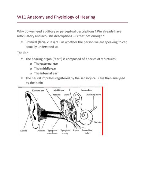 W11 Anatomy And Physiology Of Hearing Meteorological Pressure Changes