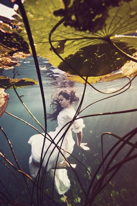 Ilse Moore Underwater Photography Underwater Photos Underwater