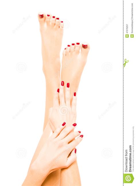 Piedi Femminili Ben Curato E Mani Immagine Stock ...
