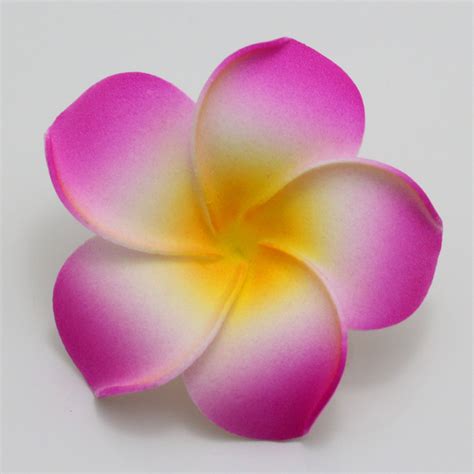 This foam craft is so. 50Pcs Big 6cm Plumeria Hawaiian Foam Frangipani Flower ...