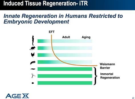 If Biotech Succeeds With Aging Reversal Regeneration And Radically