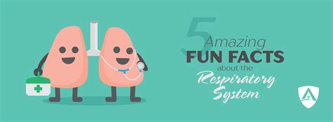 Fun Facts About The Lungs For Kids Fun Guest