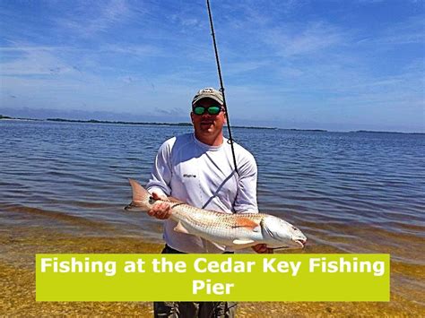 Fishing At The Cedar Key Fishing Pier