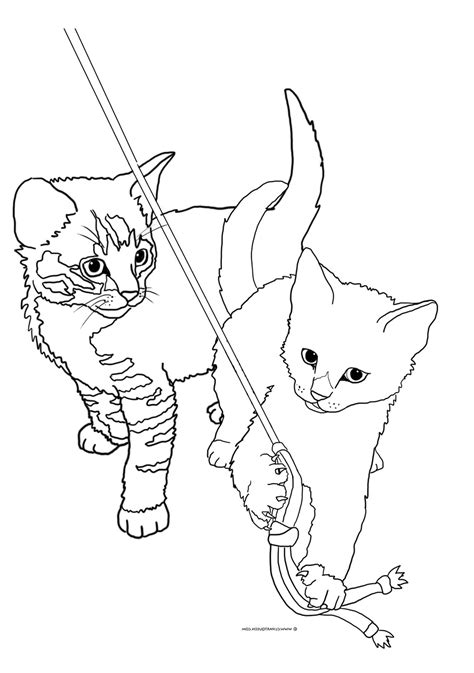 Realistic Kitten Cat Coloring Pages Realistic Kitten Coloring Pages