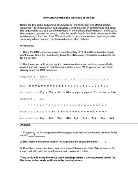 Dna analysis gizmo answer key activity a. 11 Best Images of Mutation Worksheet High School ...