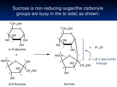 Ppt Reactions Of Reducing And Non Reducing Sugars Lab 2 Powerpoint