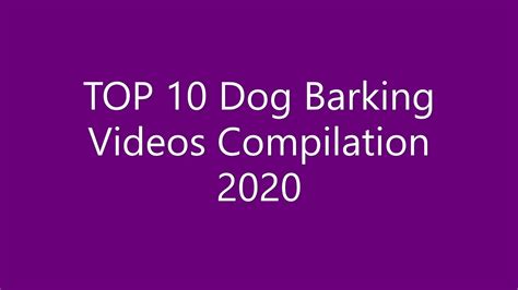 Top 10 Dog Barking Videos Compilation 2020 ♥ Youtube