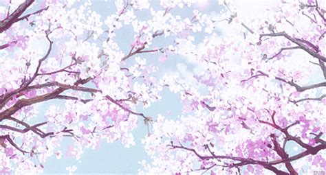 Cherry blossom unisex hoodie, anime hoodie, kawaii clothing, aesthetic . Sakura Trees! (Cherry Blossom Trees) | Anime Amino