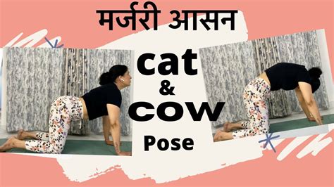 Cat And Cow Pose Marjary Asan In Hindi Stretch For Back And Neck