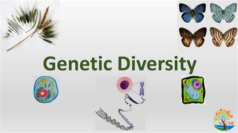 Genetic Diversity Biodiversity Wildlife Conservation And Management