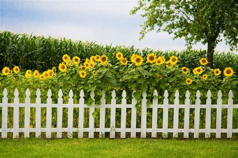 In an oriental garden, choose tall green plants as fencing. Beautiful White Fence Landscaping Ideas - Garden Lovers Club
