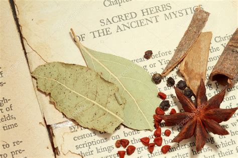 Sacred Herbs — Stock Photo © Fiftycents 5424514