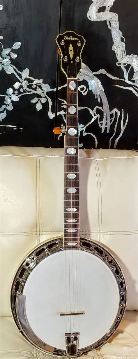 Gibson Rb 12 Used Banjo For Sale At