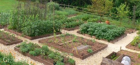 How To Plan A Vegetable Garden A Step By Step Guide