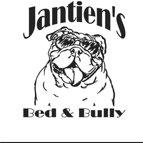 jantien s bed and bully castricum