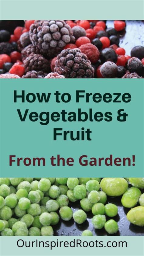 How To Freeze Vegetables And Fruit From The Garden