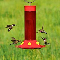 To make sure the actual feeder port is clean, scrub with a pipe cleaner. Replacement Hummingbird Feeder Flowers with Bee Guards ...