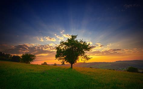 Nature Trees Sunset Sky Wallpaper Coolwallpapersme