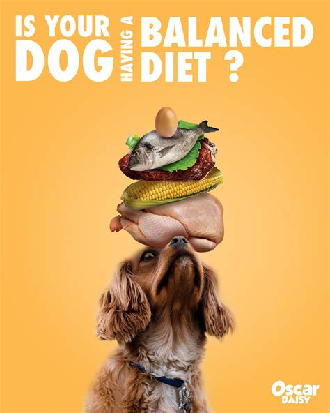 Healthy Pet Food Ad Poster On Behance Healthy Pet Food Food Animals