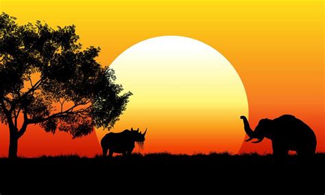 African Safari Scene At Sunset 222490 Vector Art At Vecteezy