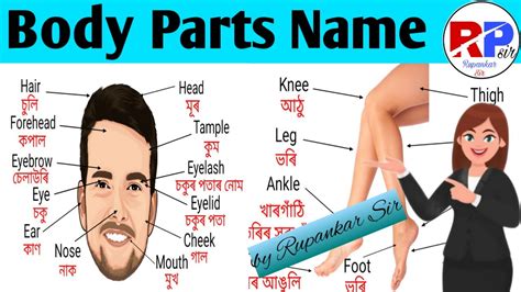 Human Body Parts Name Assamese And Hindi With Picturelearn Parts Of The