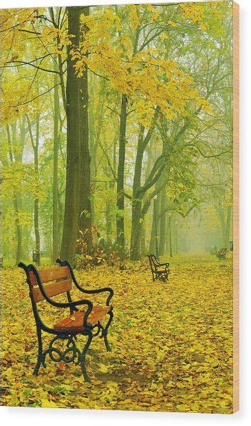 Red Benches In The Park Wood Print By Jaroslaw Grudzinski Red Bench