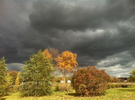 Autumn Storm By Cryophosphor On Deviantart