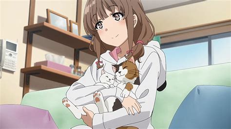 Seishun Buta Yarou Wa Bunny Girl Senpai No Yume Wo Minai © Animes Hanok