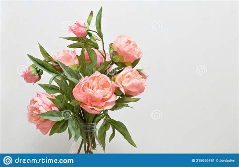 Beautiful Pink Peony Flowers In Vase Stock Image Image Of Beautiful