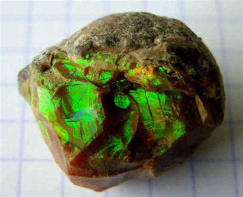 What Do Raw Opals Look Like 1175 Cts Black Opal Rough Parcel From