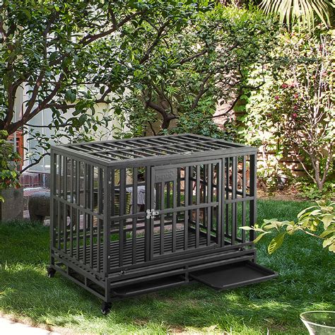 10 Dog Kennels And Crates